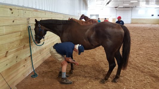 Veterans Assisted Sports Training (V.A.S.T.) | Stable Hands Equine ...